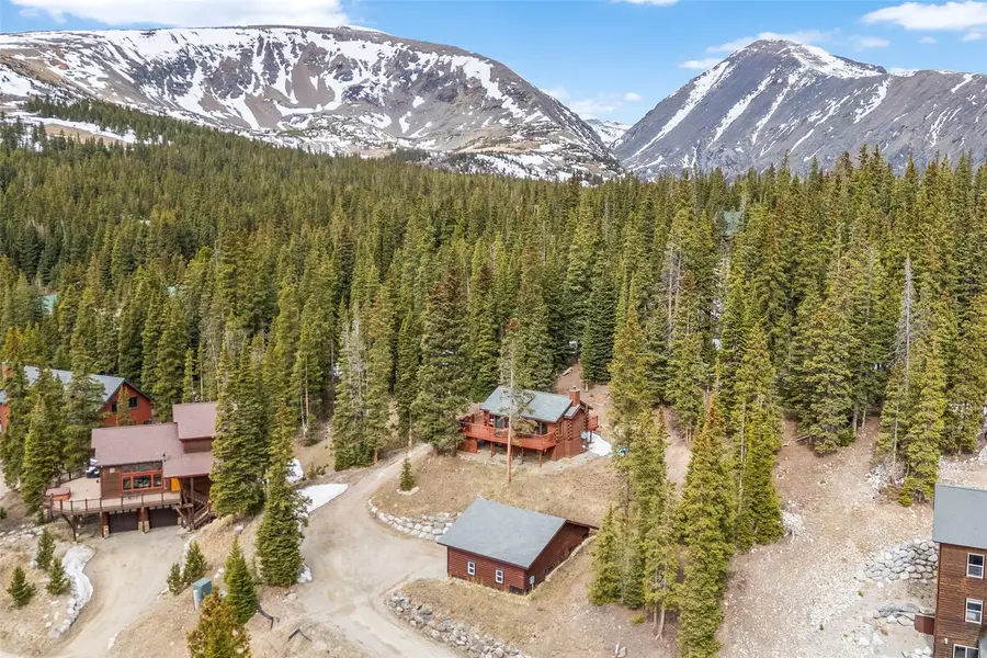 231 Kimmes Lane, Breckenridge, CO 80424 - #3