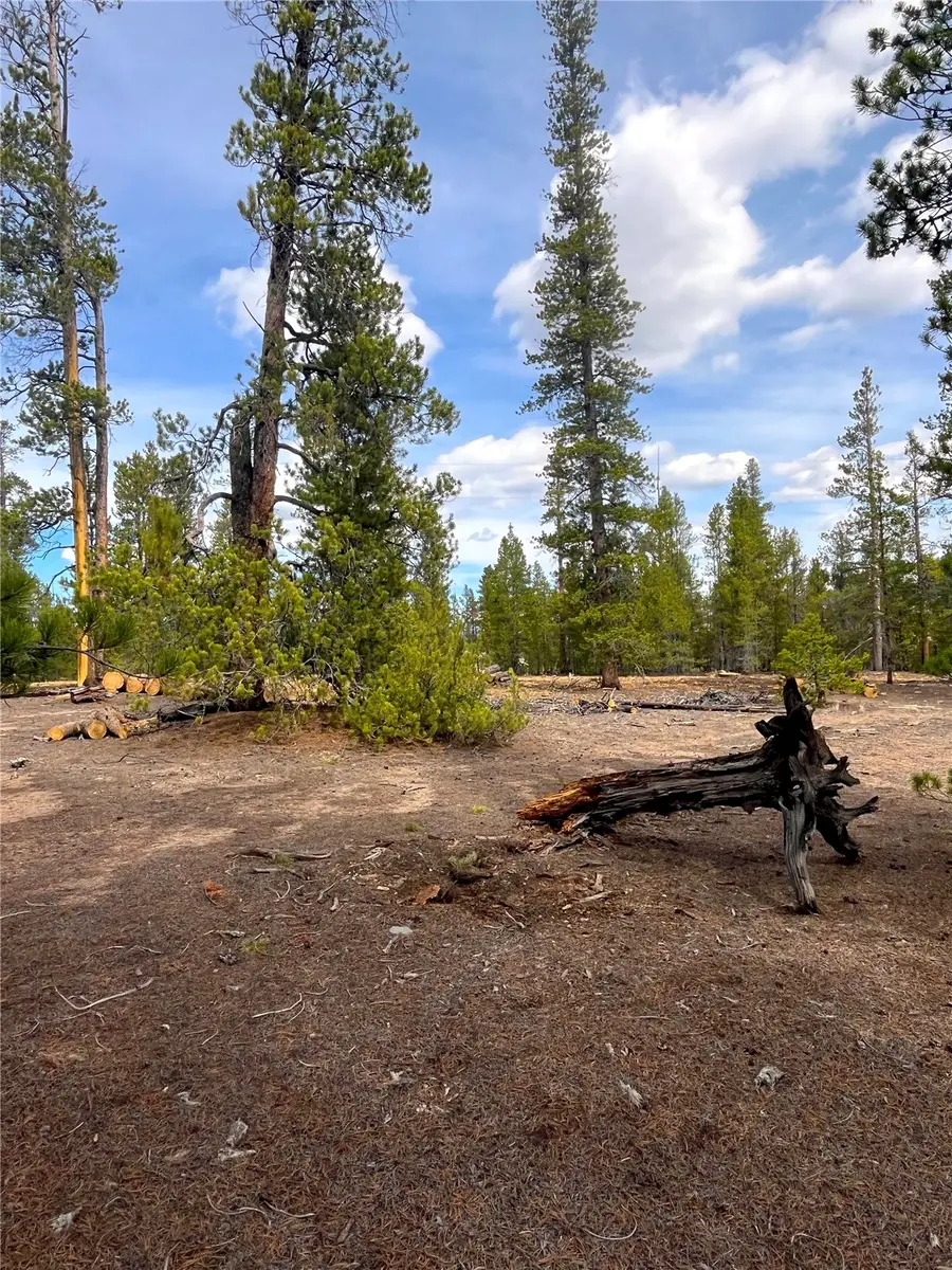 105 Fir Road, Twin Lakes, CO 80461 - #2