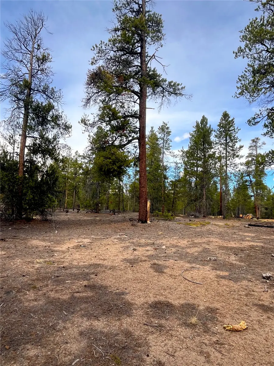 105 Fir Road, Twin Lakes, CO 80461 - #3