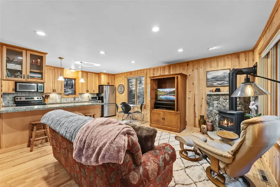 446 Blue River Road, Blue River, CO 80424 - #3