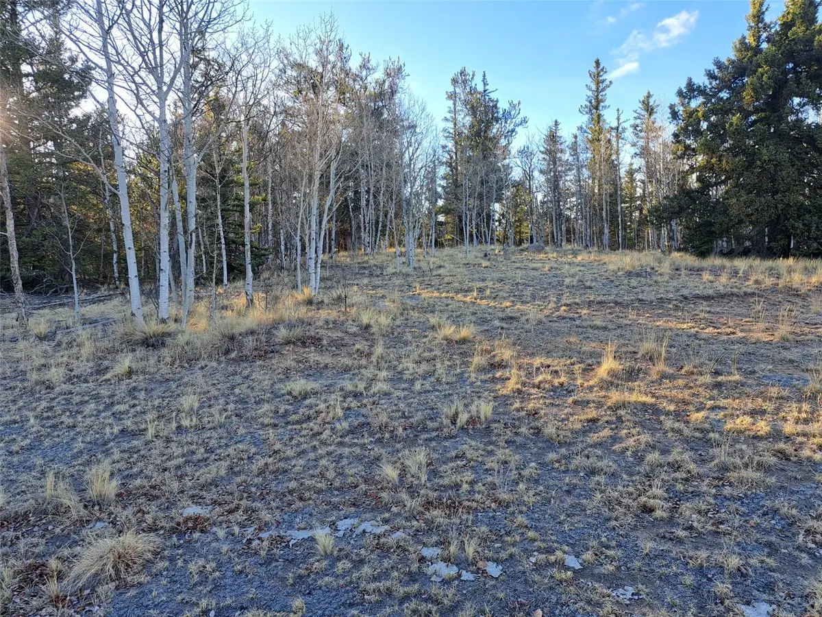1645 Chippewa Road, Como, CO 80432 - #1