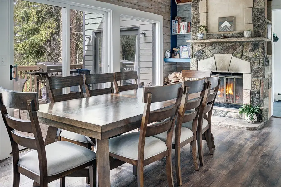 173 Lone Hand Way, Breckenridge, CO 80424 - #2