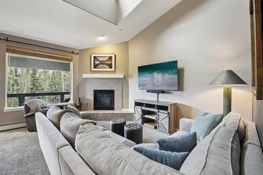 91599 Ryan Gulch Road #B2, Silverthorne, CO 80498 - #3