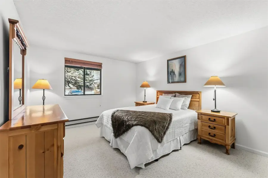 72 Corinthian Circle #203, Dillon, CO 80435 - #2