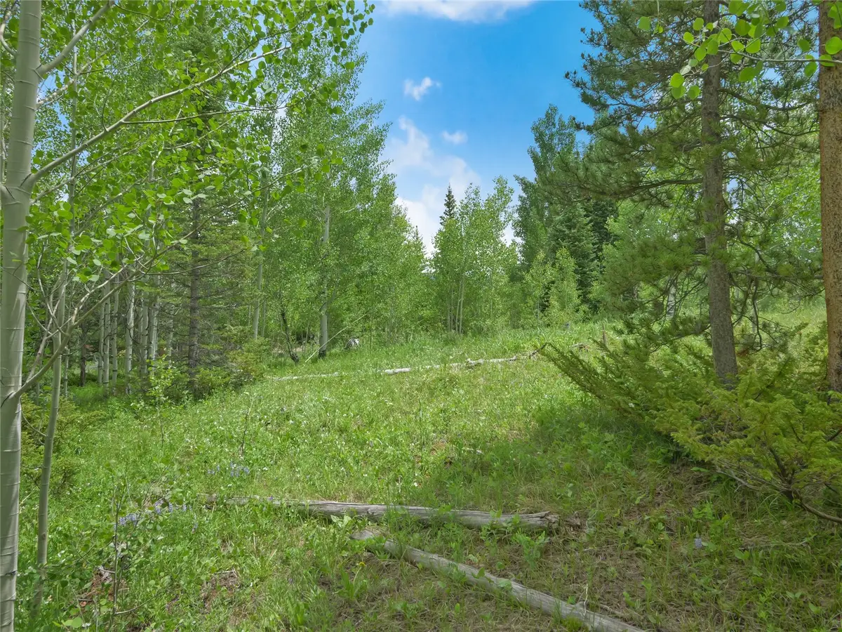 616 Aspen Drive, Silverthorne, CO 80498 - #1