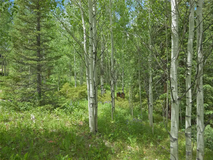 616 Aspen Drive, Silverthorne, CO 80498 - #3