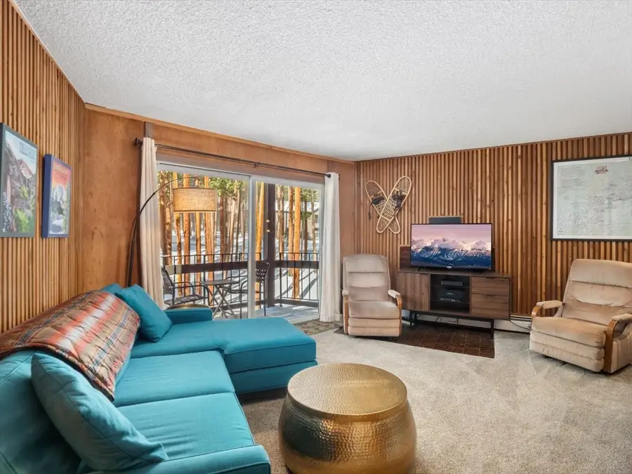 1161 Ski Hill Road #141, Breckenridge, CO 80424 - #3