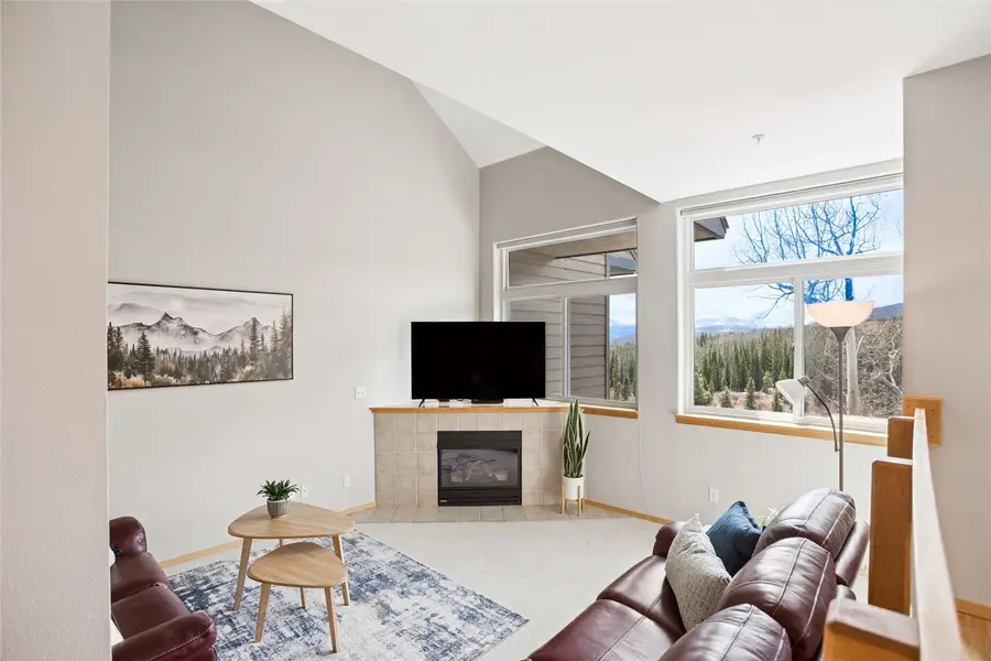 121 Cydney Lane, Silverthorne, CO 80498 - #3