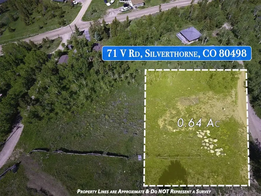 71 V Road, Silverthorne, CO 80498 - #3