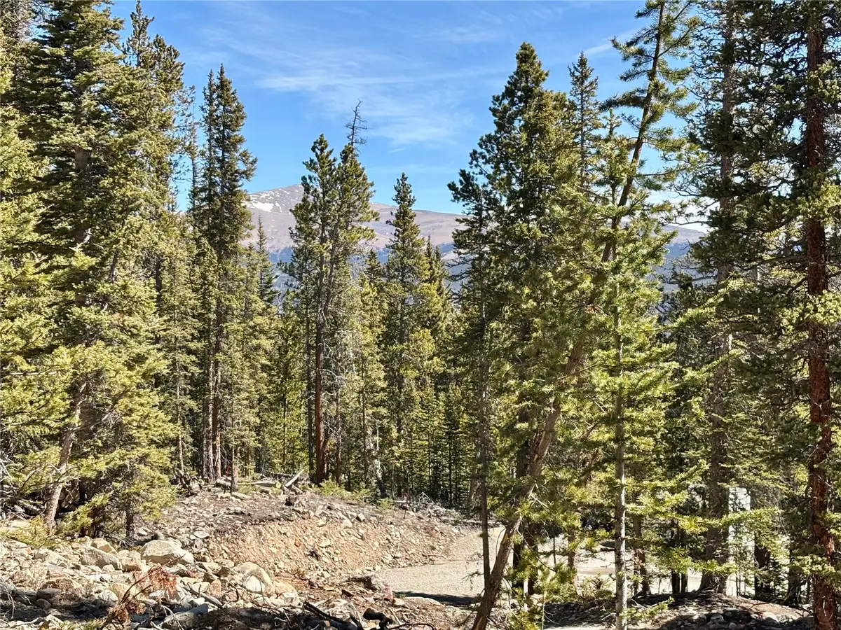 313 Porcupine Road, Fairplay, CO 80440 - #1