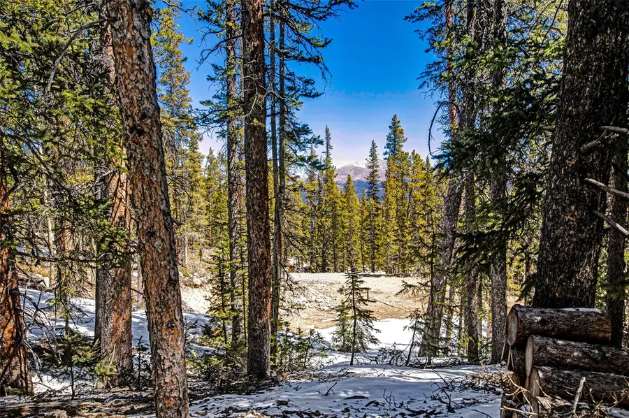 313 Porcupine Road, Fairplay, CO 80440 - #2