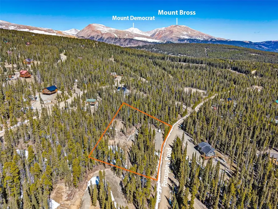 313 Porcupine Road, Fairplay, CO 80440 - #3