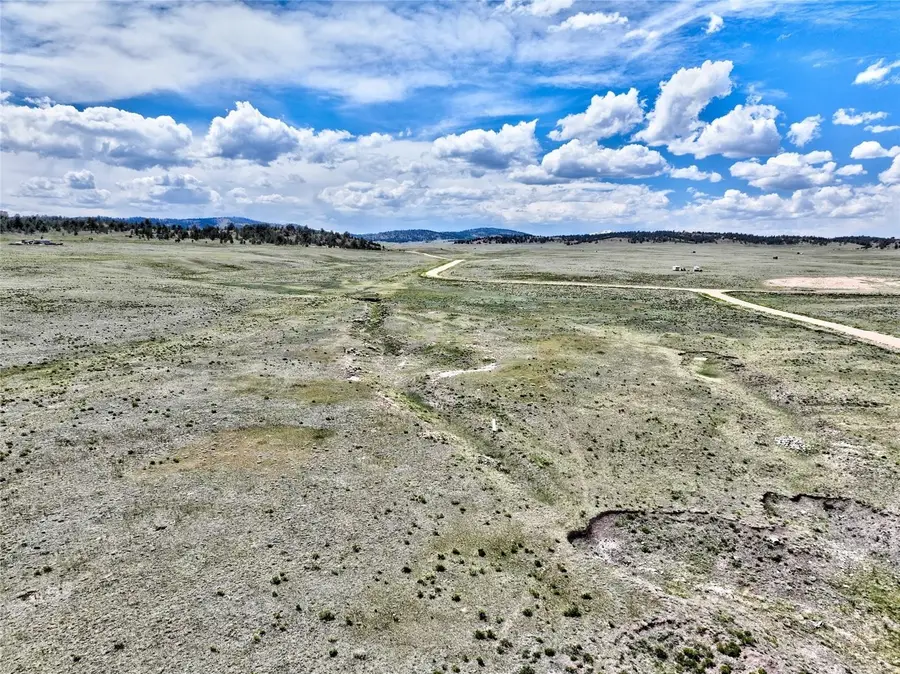 114 Walls Street, Hartsel, CO 80449 - #3