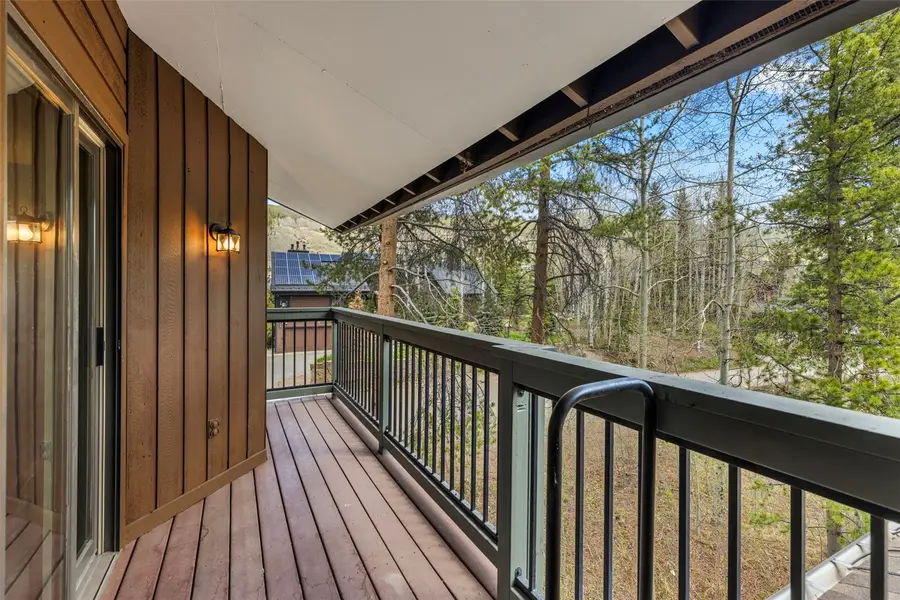 393 Wild Irishman Road #1066, Keystone, CO 80435 - #3