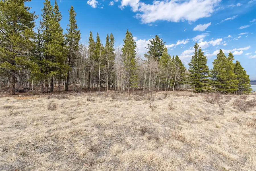 0 Bluestem, Fairplay, CO 80440 - #3