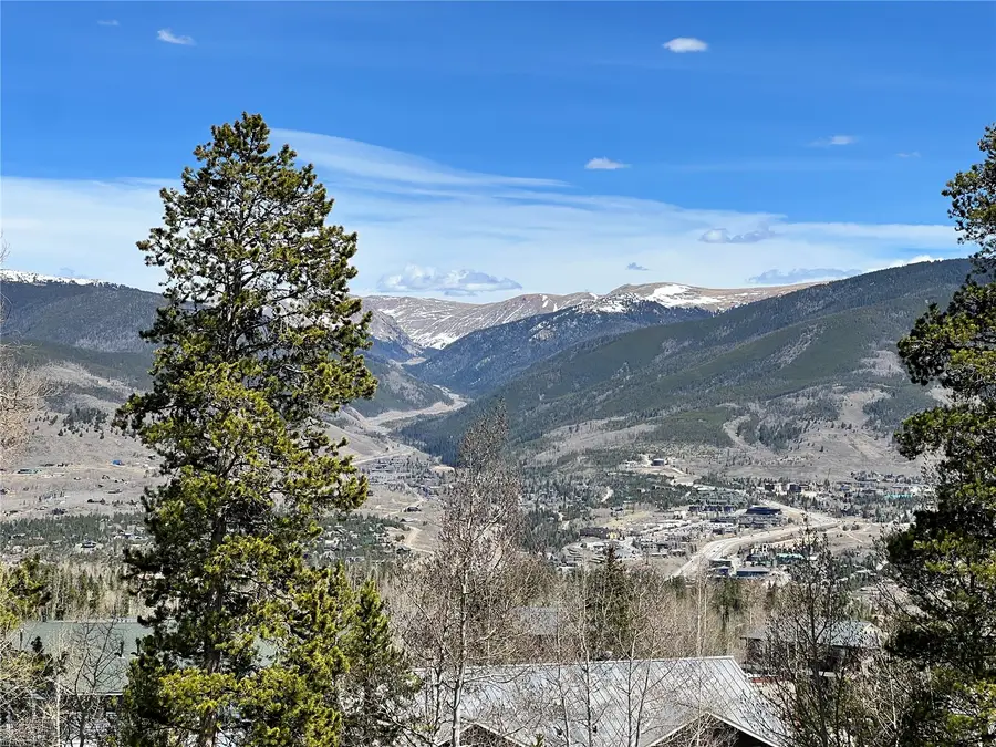 2100 Lodgepole Circle #202, Silverthorne, CO 80498 - #3