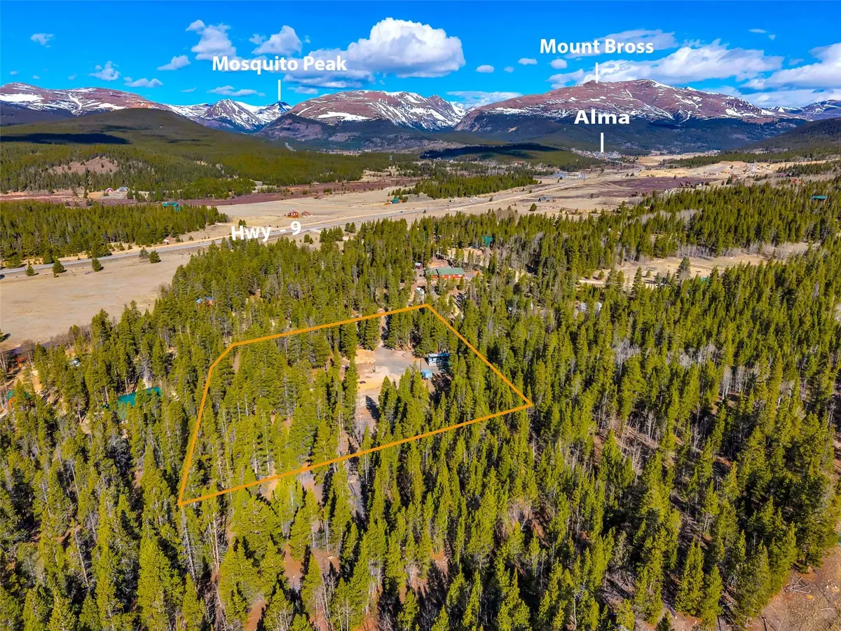 265 Placer Drive, Alma, CO 80420 - #1