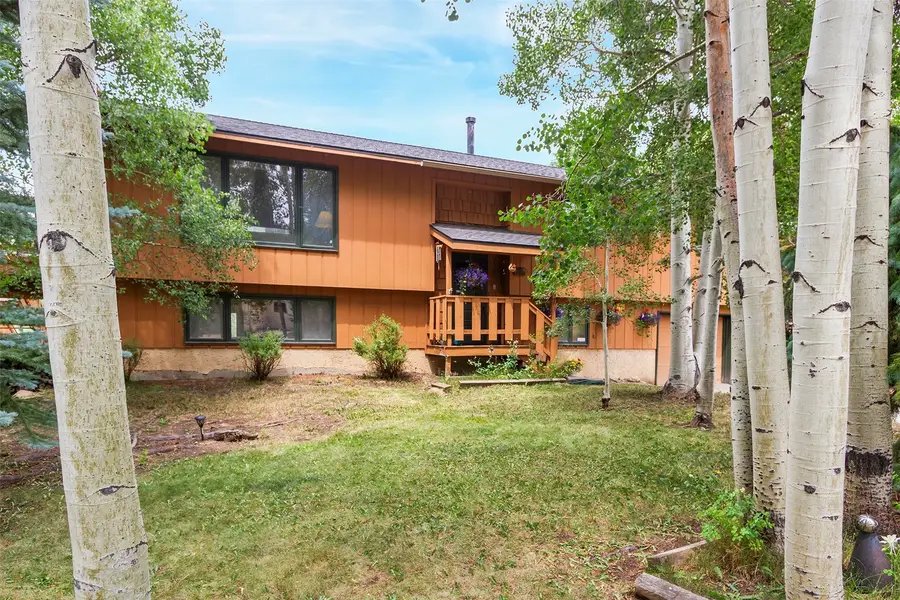 857 Deer Path Road, Dillon, CO 80435 - #2