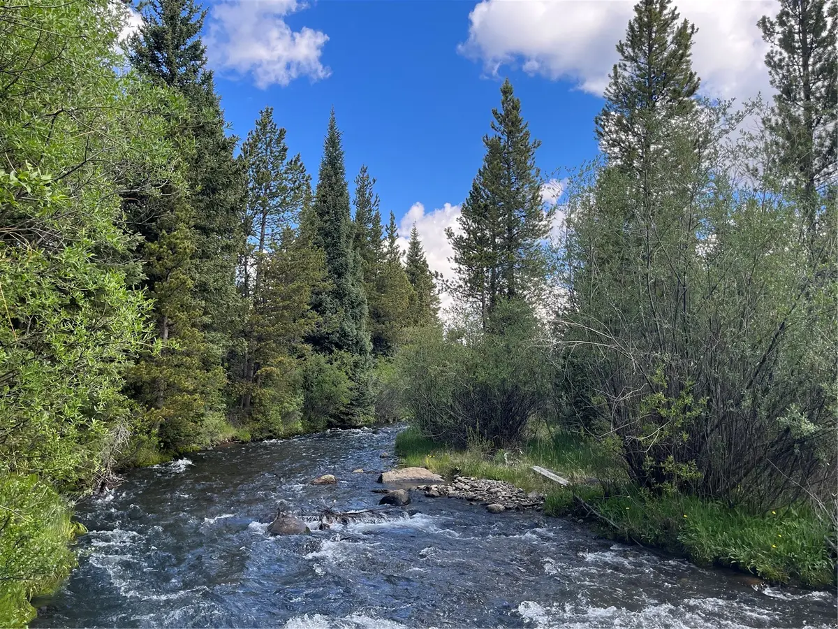 TBD Pcr-19, Alma, CO 80420 - #1