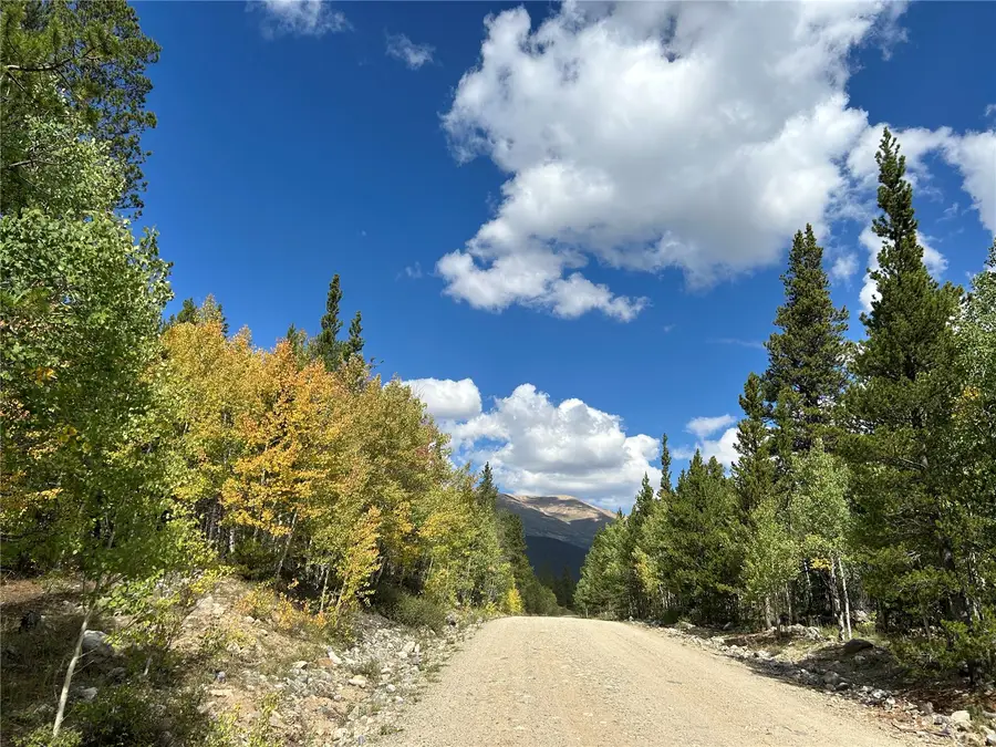 TBD Pcr-19, Alma, CO 80420 - #2