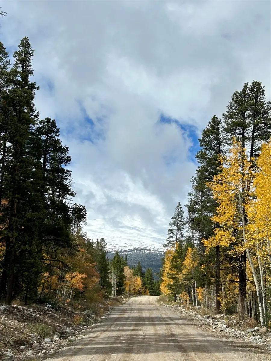 TBD Pcr-19, Alma, CO 80420 - #3