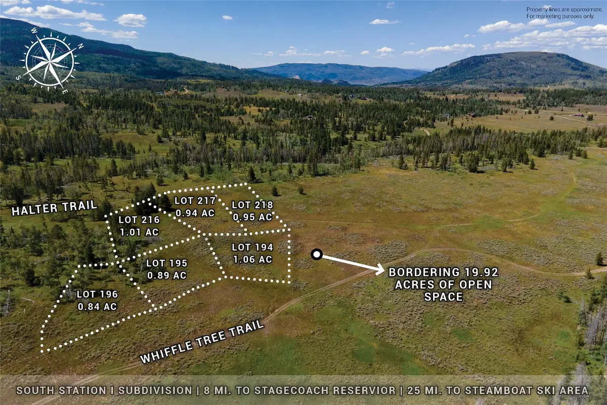 195 Halter Trail, Oak Creek, CO 80467 - #1