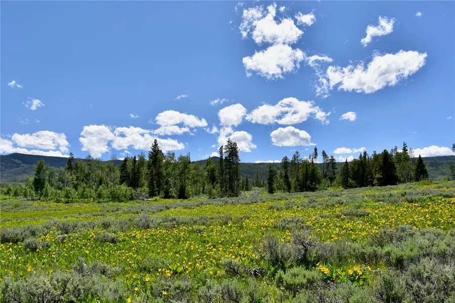 195 Halter Trail, Oak Creek, CO 80467 - #3