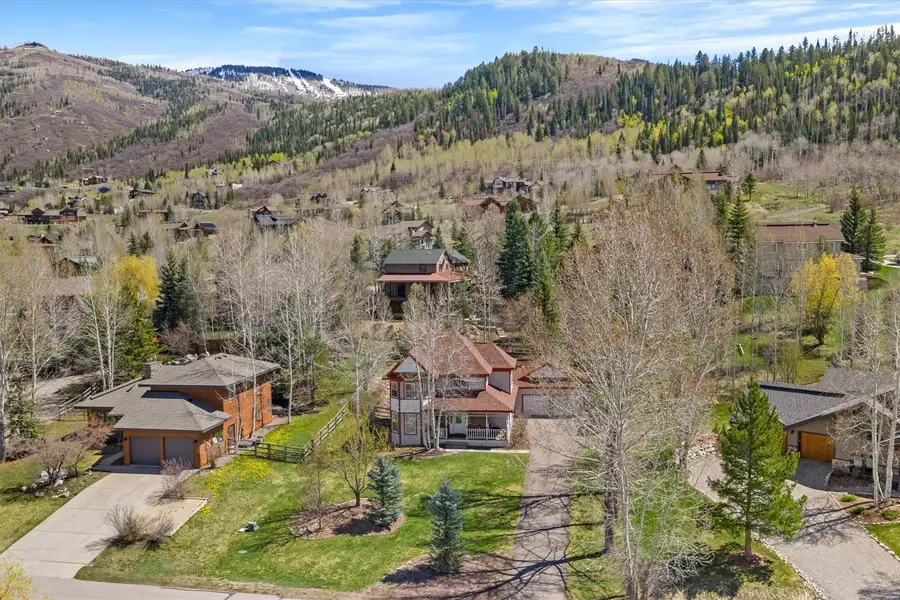 1786 Brome Drive, Steamboat Springs, CO 80487 - #2