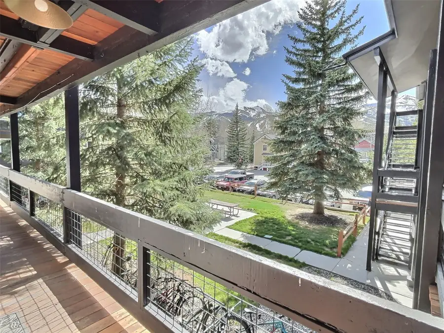 214 S Harris Street #209, Breckenridge, CO 80424 - #3