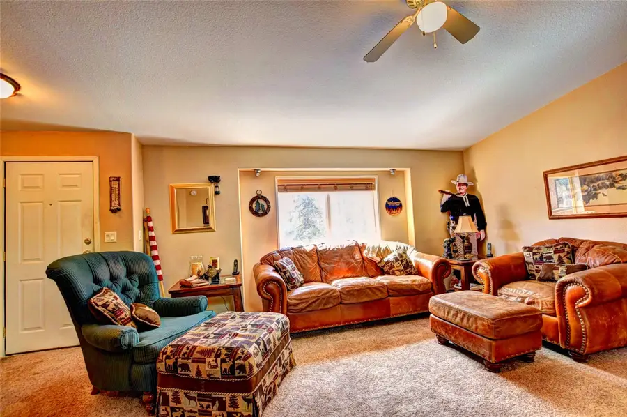 1479 Ouray Trail, Como, CO 80432 - #3