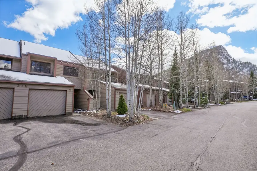 216 Creekside Drive #2, Frisco, CO 80443 - #2