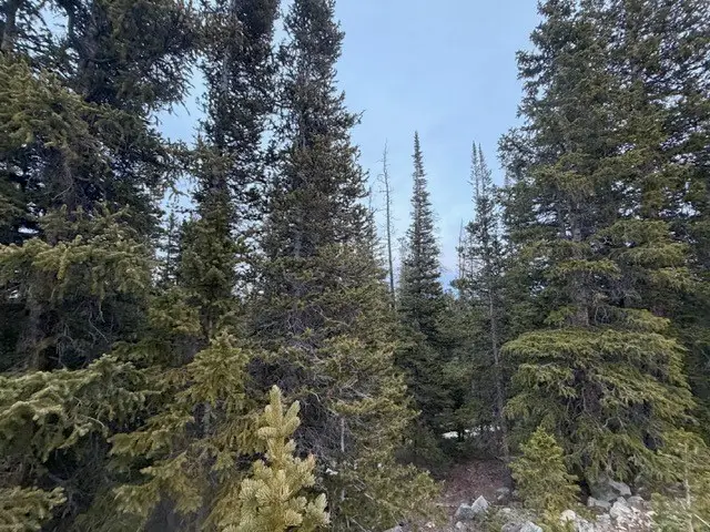 272 Grizzly Drive, Fairplay, CO 80440 - #1