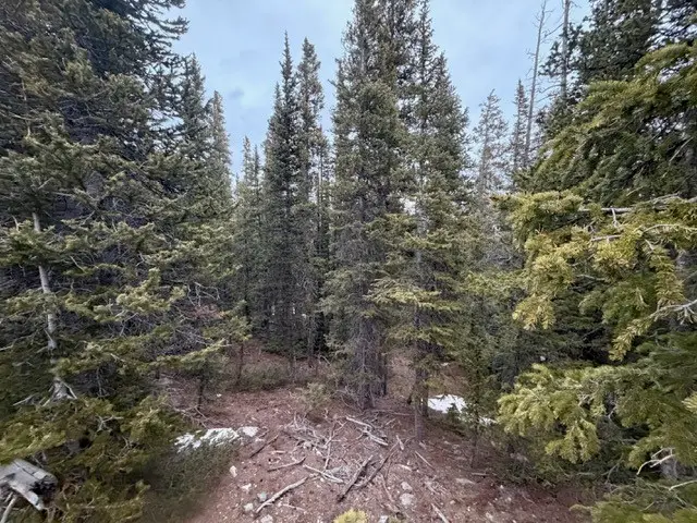 272 Grizzly Drive, Fairplay, CO 80440 - #2