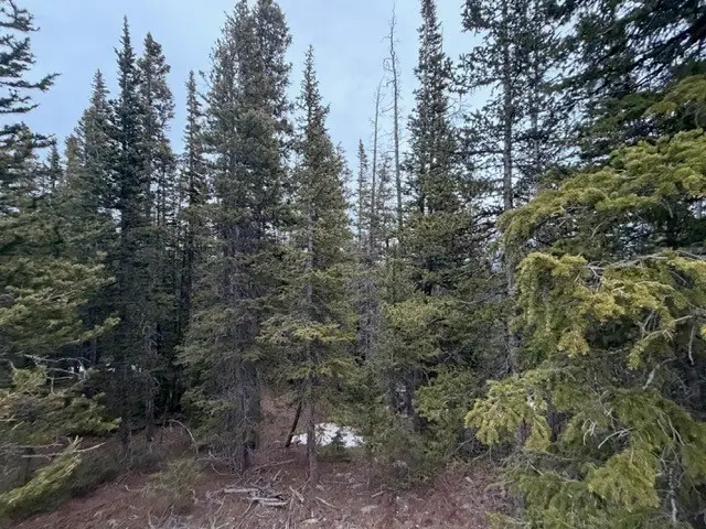 272 Grizzly Drive, Fairplay, CO 80440 - #3