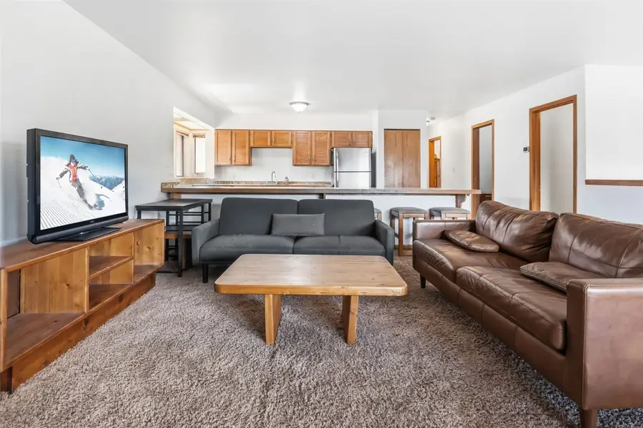 704 Lagoon Drive #C, Frisco, CO 80443 - #2