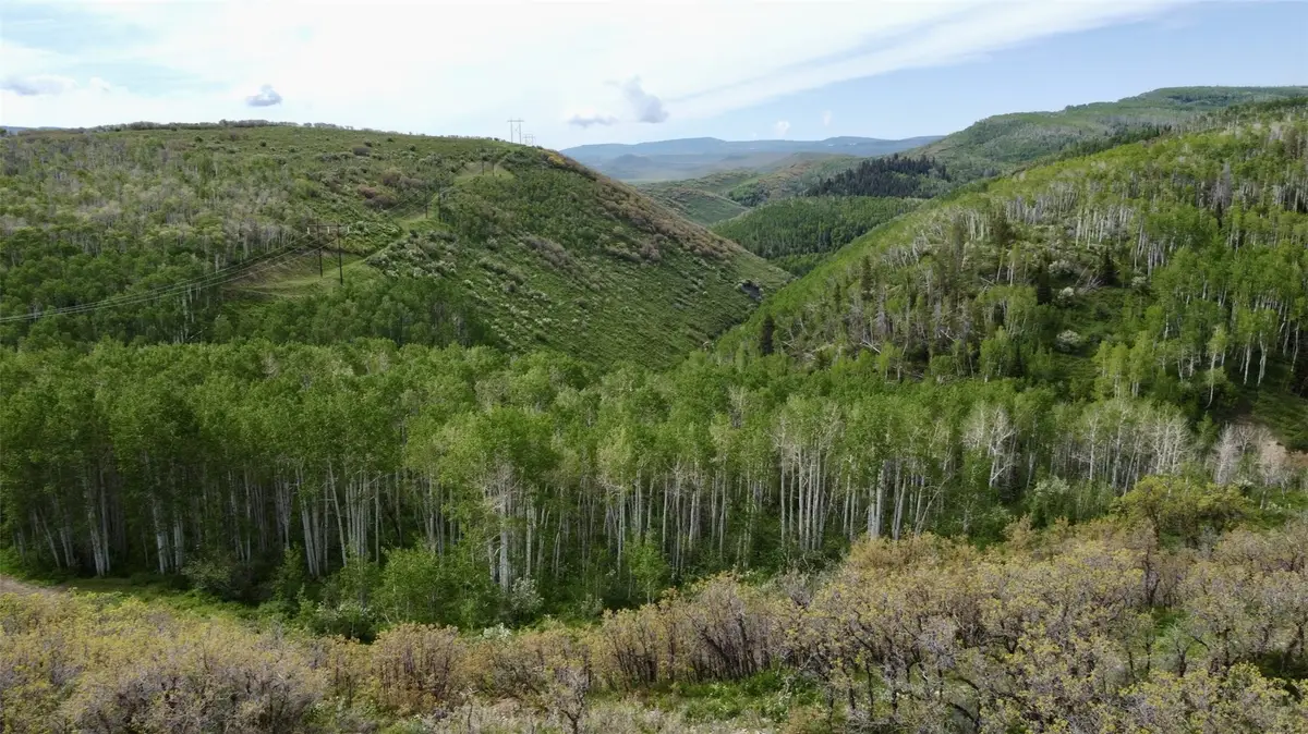 24425 Lone Tooth Trail, Oak Creek, CO 80467 - #1