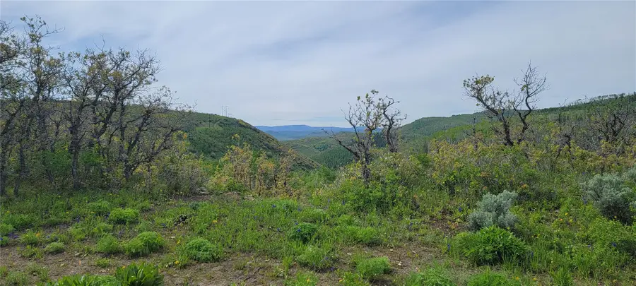 24425 Lone Tooth Trail, Oak Creek, CO 80467 - #2