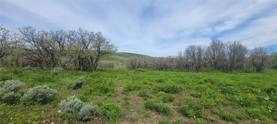 24425 Lone Tooth Trail, Oak Creek, CO 80467 - #3