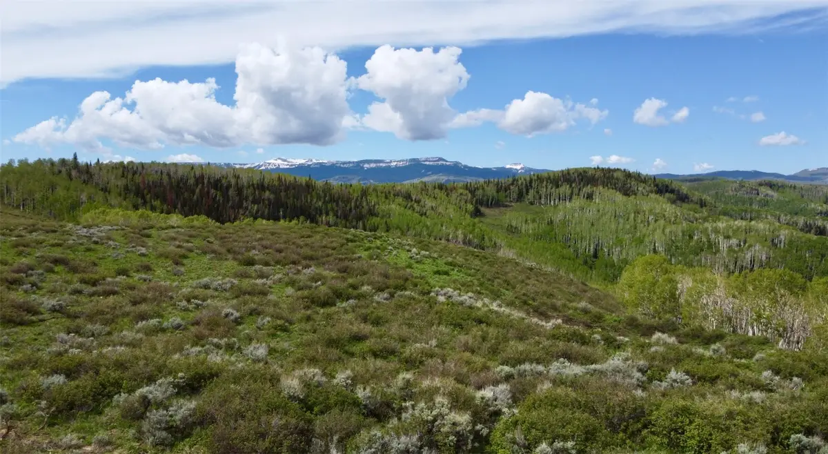 TBD Silverado Road, Oak Creek, CO 80467 - #1