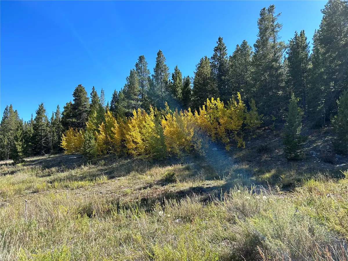 TBD W Second Street, Alma, CO 80420 - #1