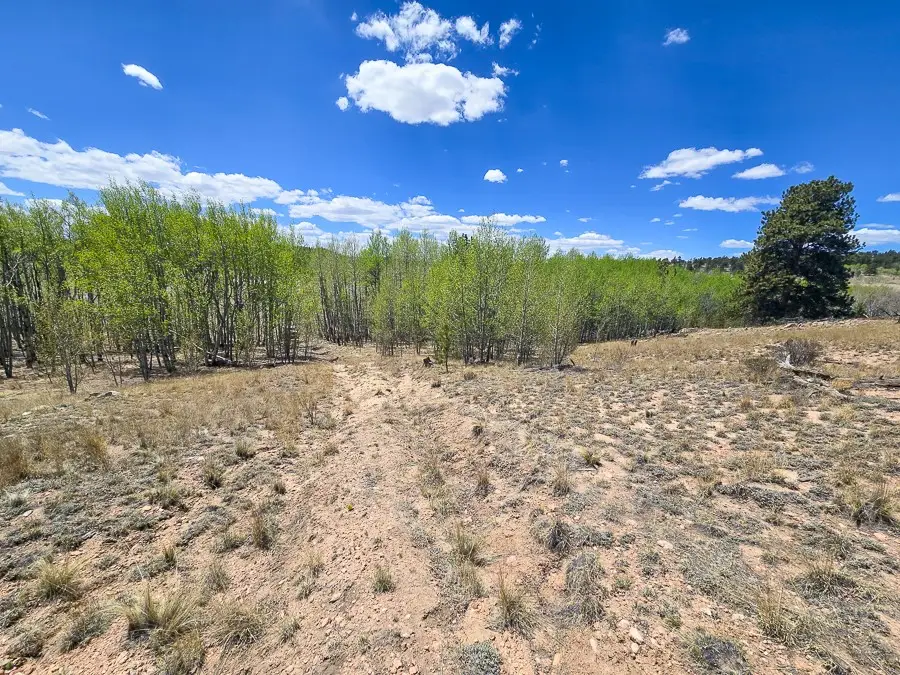 487 Indian Lane, Hartsel, CO 80449 - #3