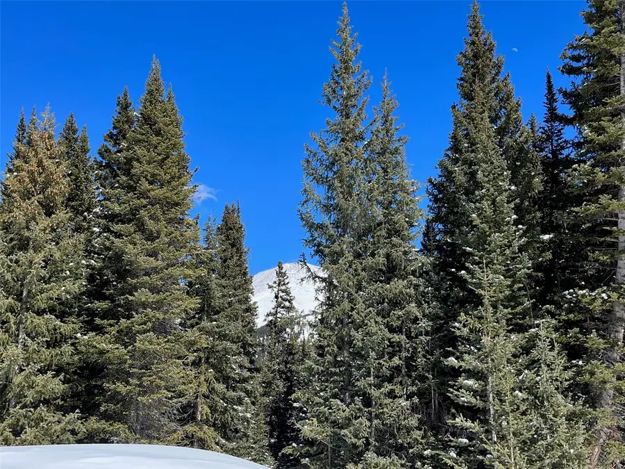 0089 Cr 670, Breckenridge, CO 80424 - #3