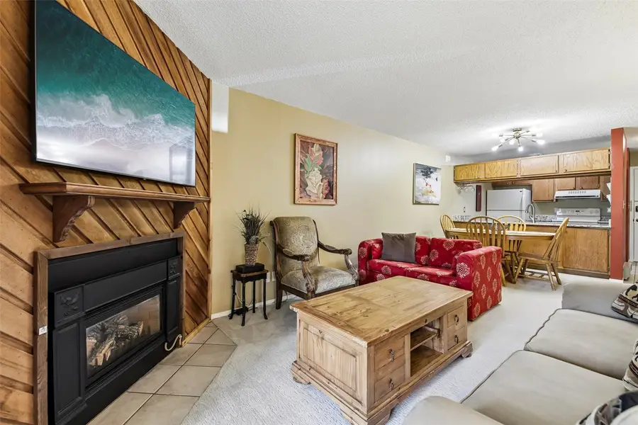 1001 Grandview Drive #21C, Breckenridge, CO 80424 - #3