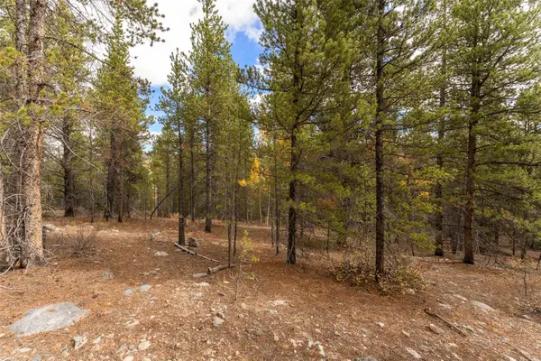 TBD 10th, Alma, CO 80420