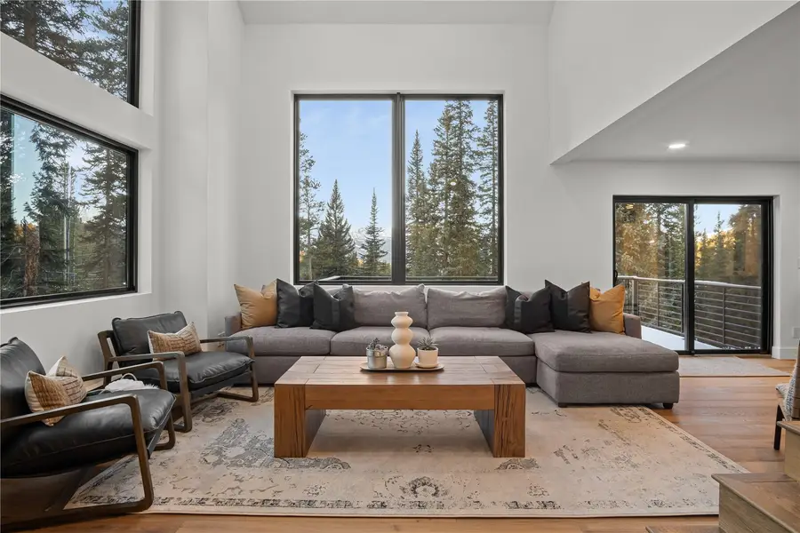 23 County Road 534, Breckenridge, CO 80424 - #3