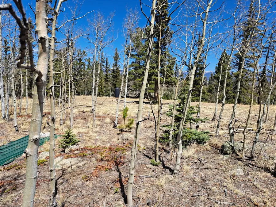 782 Tepee Trail, Como, CO 80432 - #2