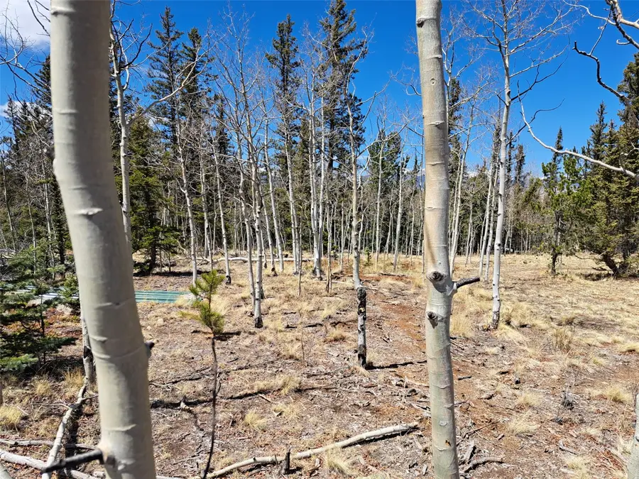 782 Tepee Trail, Como, CO 80432 - #3