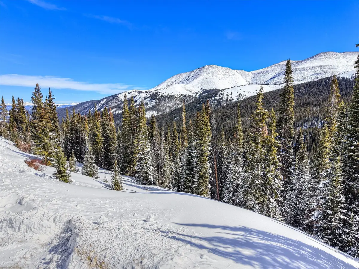 484 Carroll Lane, Breckenridge, CO 80424 - #1