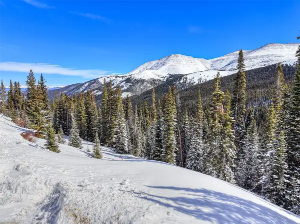 484 Carroll Lane, Breckenridge, CO 80424