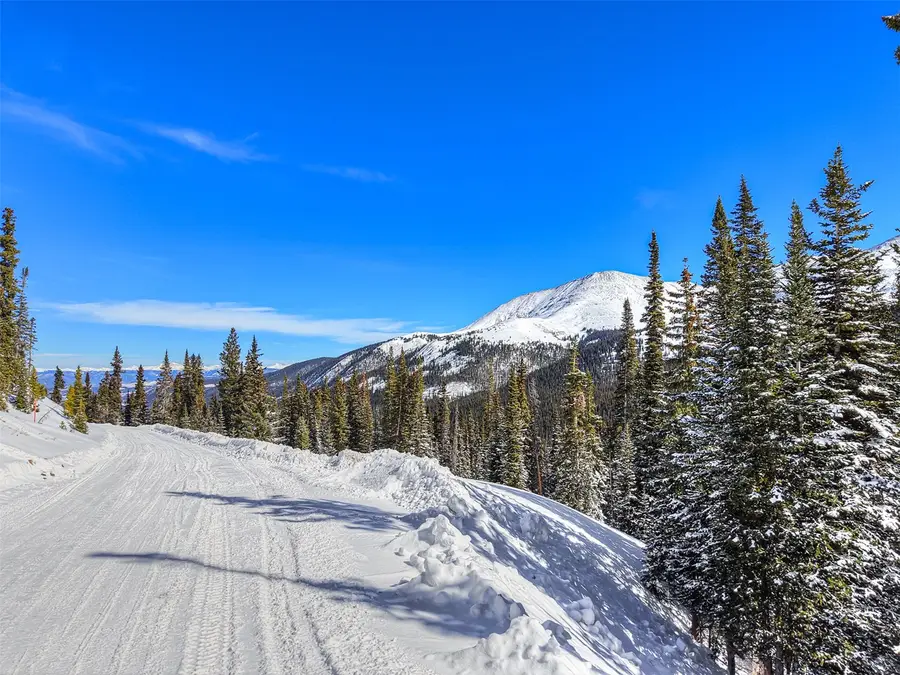 484 Carroll Lane, Breckenridge, CO 80424 - #2
